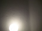 20081123