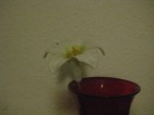 20090120