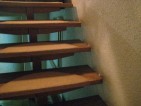 20090224