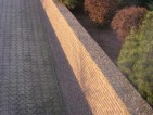20090303