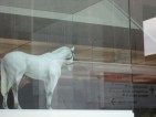 20090307