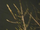 20090313