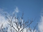 20090314