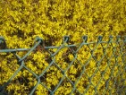 20090401