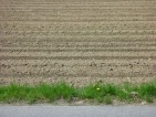 20090421
