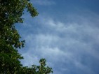 20090523