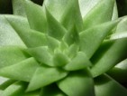 20090701