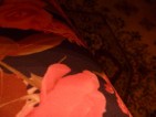 20090728