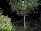 20090801