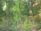 20091102
