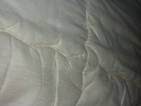 20091116