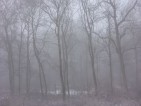 20091223
