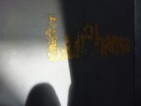 20100126