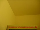 20100219
