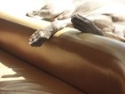 20100617