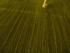 20100703