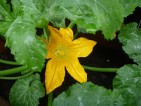 20100710