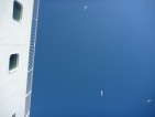 20100711