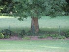 20100716