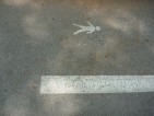 20100803