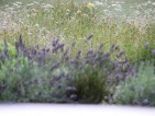 20100817