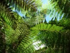 20100823_b