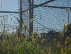 20101010_b