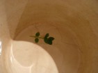 20101021