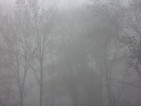20101116