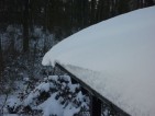 20101223