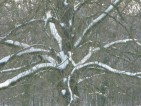 20101227