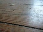 20110301