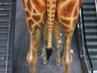 20110326