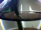 20110403