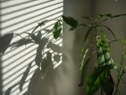 20110408