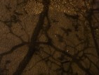 20110409