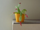 20110419