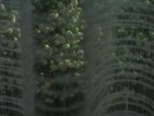 20110505