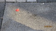 20110814