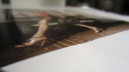 20110923
