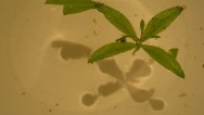 20111011