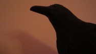20111030