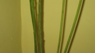 20111206
