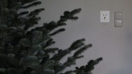 20111218