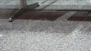 20111228