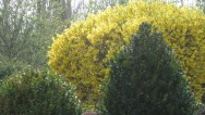20120406