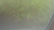20120407