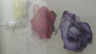 20120410