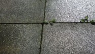 20120420