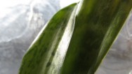 20120504